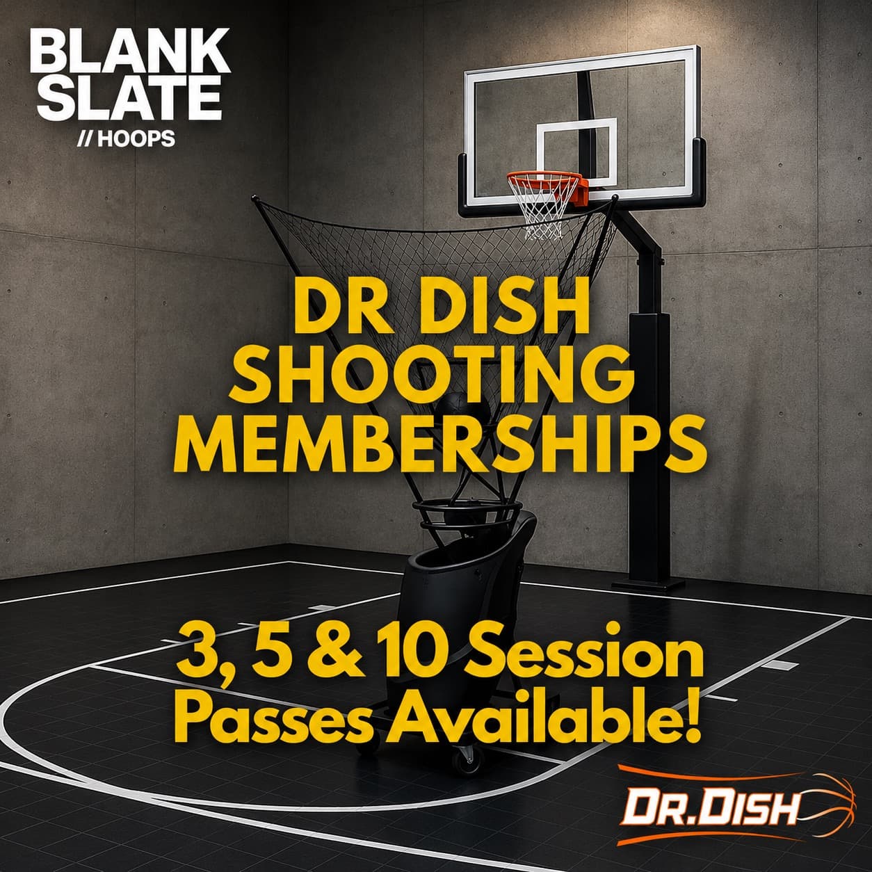 The Dr. Dish at Blank Slate Hoops